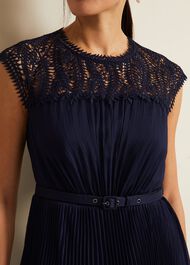 Makaela Pleat Embroidered Dress