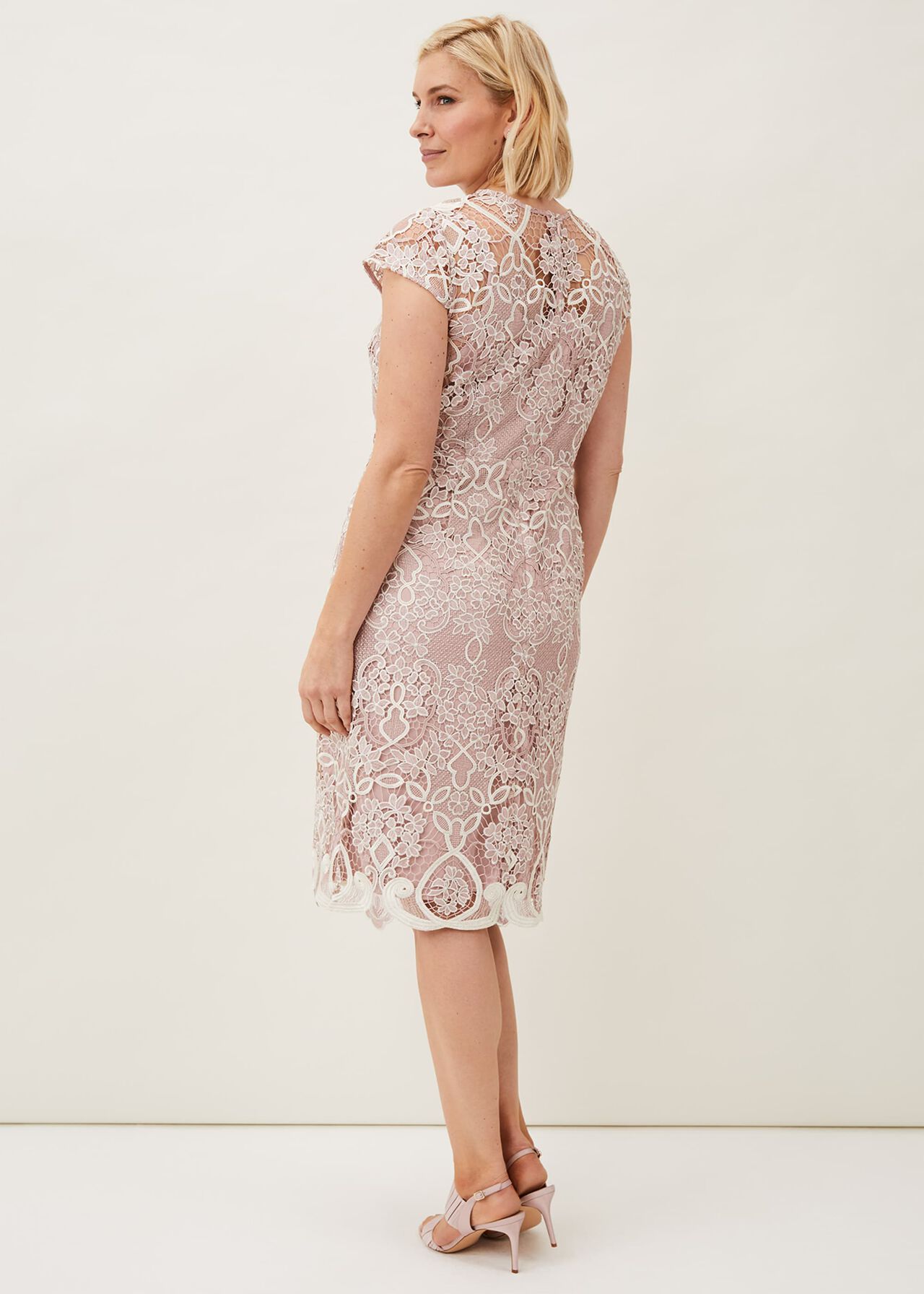 Frances Lace Fitted Dress