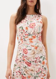 Larna Blush Jackie Dress