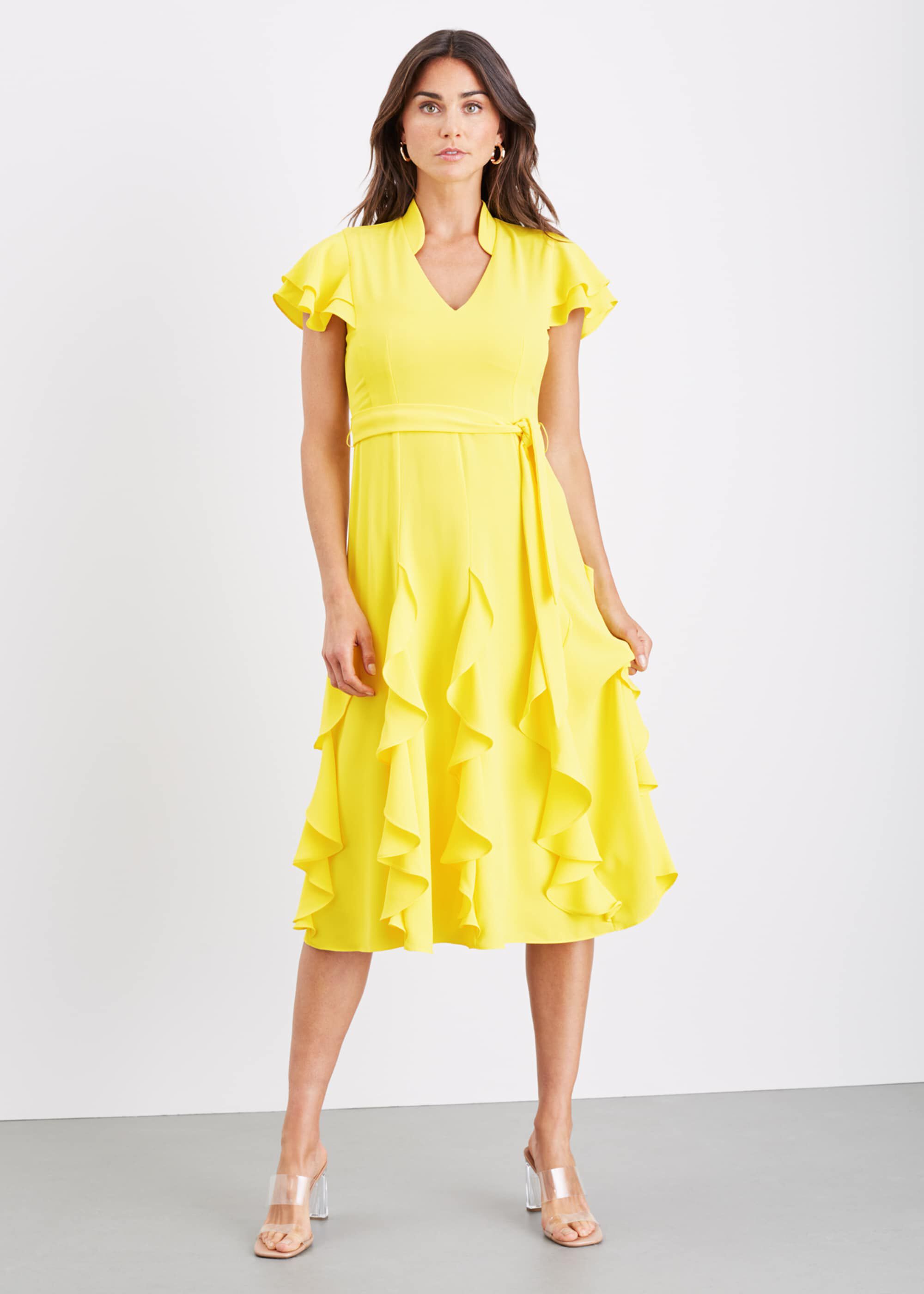 phase eight dorothy frill dress