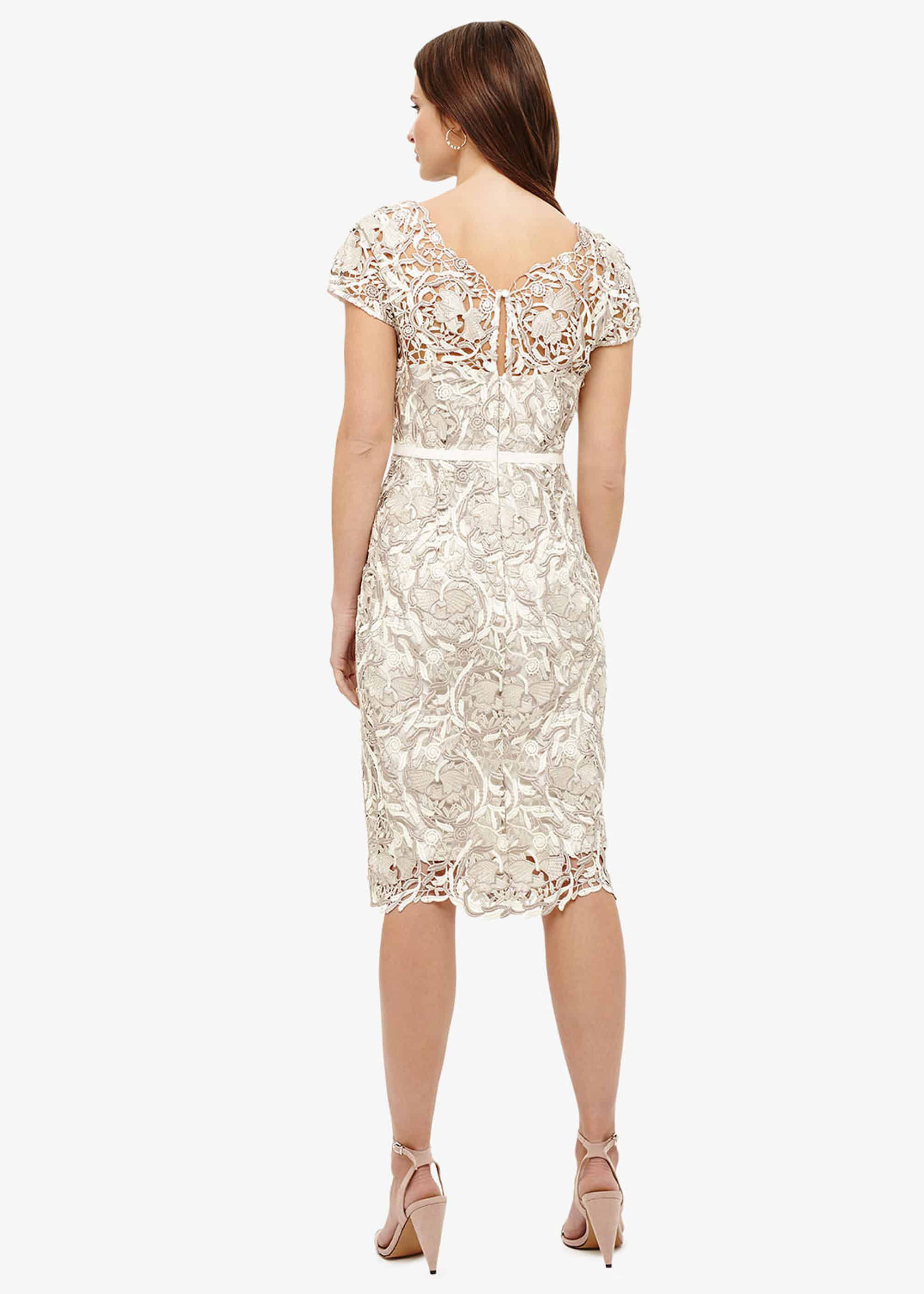 Phase eight hotsell lottie dress