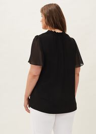 Erin Sheer Sleeve Top