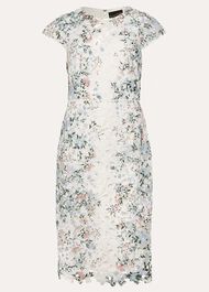 Franky Floral Lace Fitted Dress