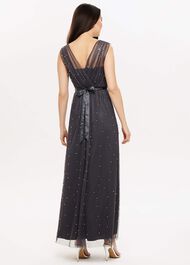 Ashleen Tulle Maxi Dress