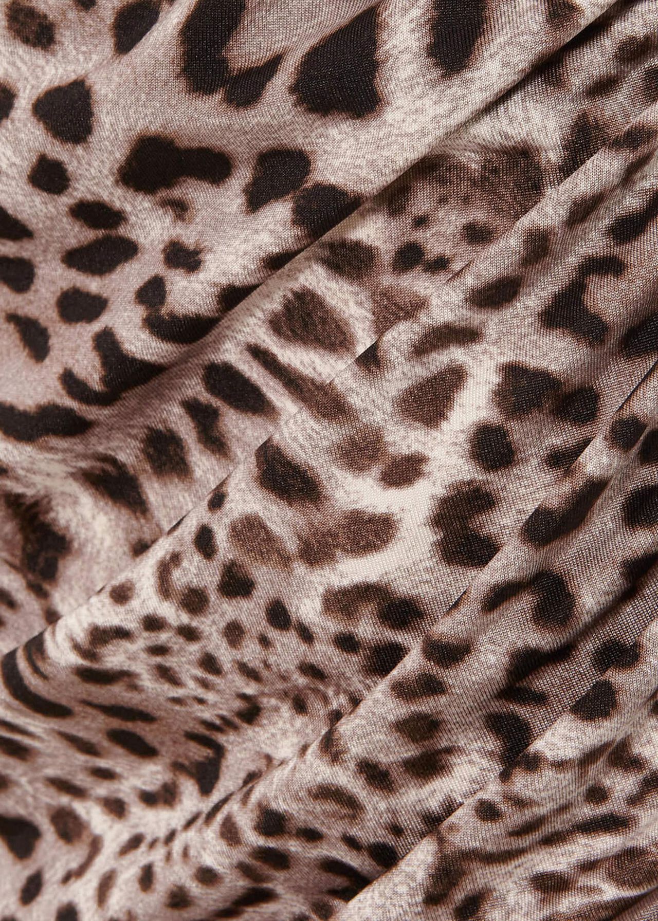 Kacey Leopard Print Top