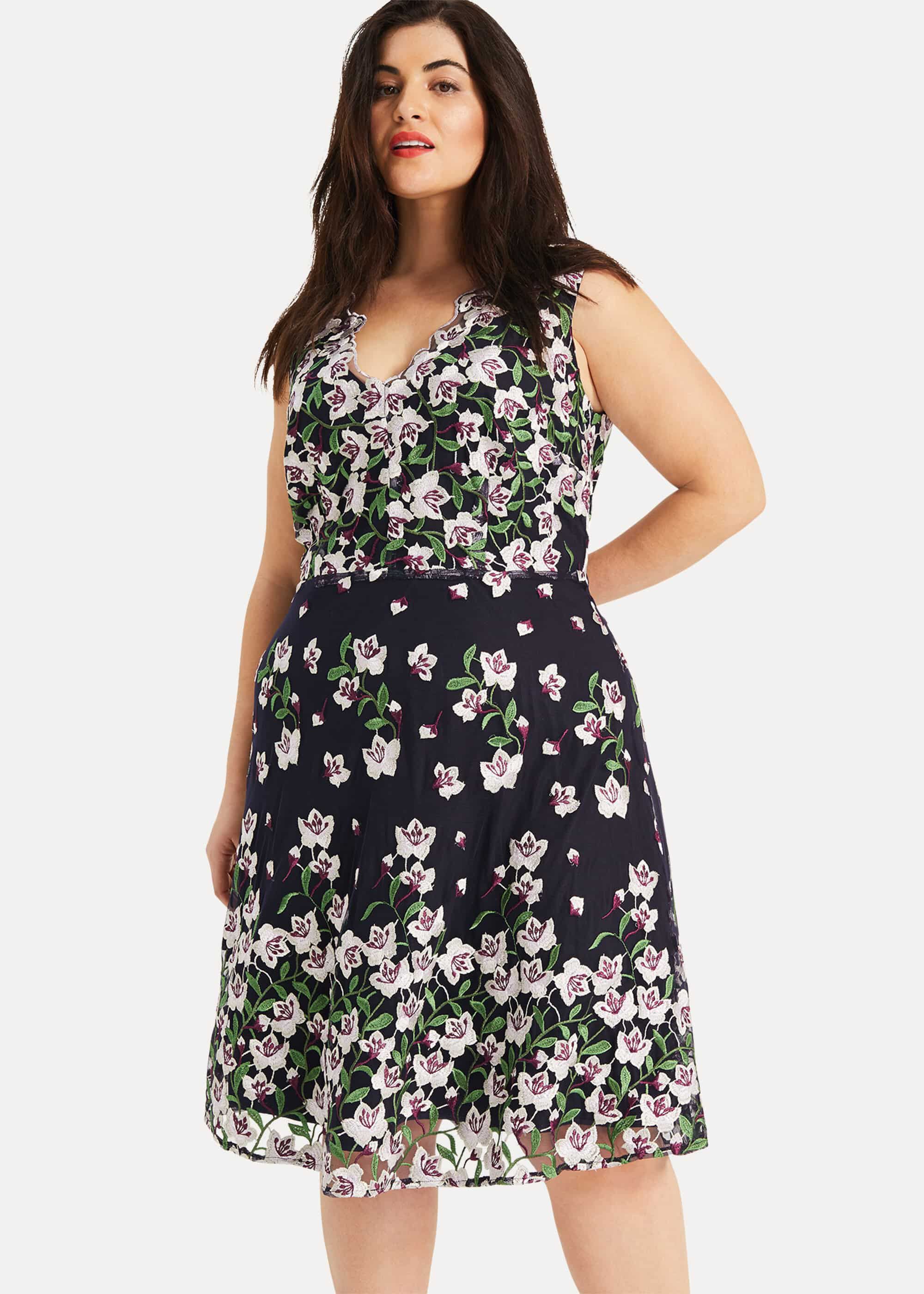 Phase eight stephanie dress store