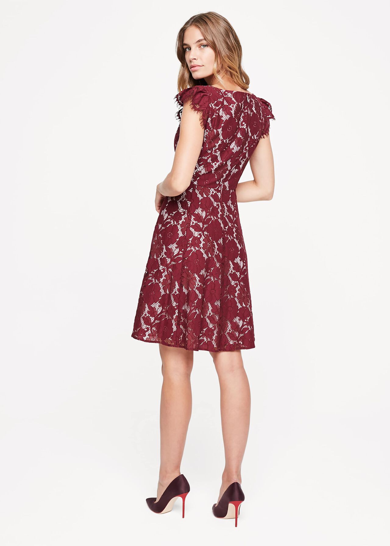 Rexanne Lace Dress Phase Eight