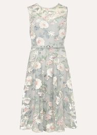 Aria Embroidered Fit And Flare Dress