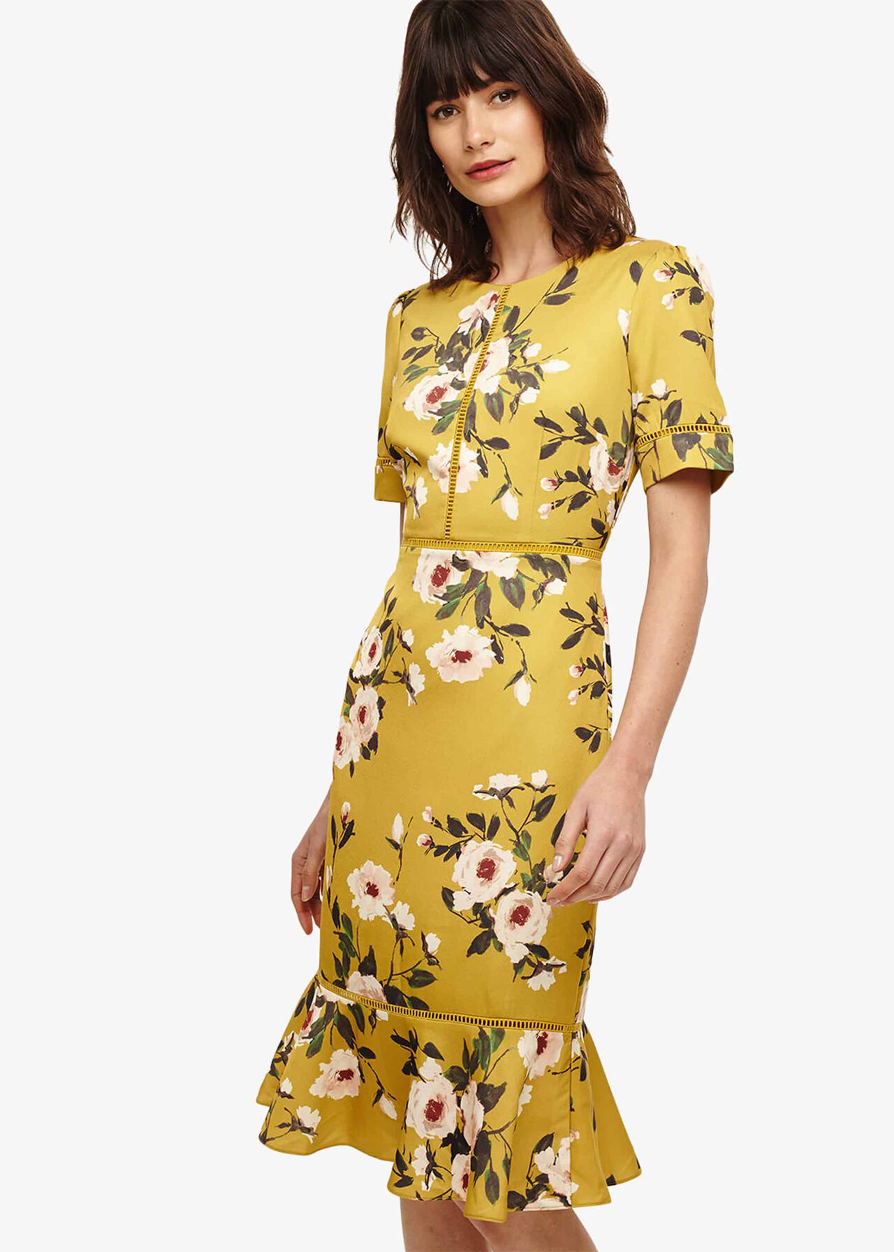 Hilary Floral Dress | Phase Eight