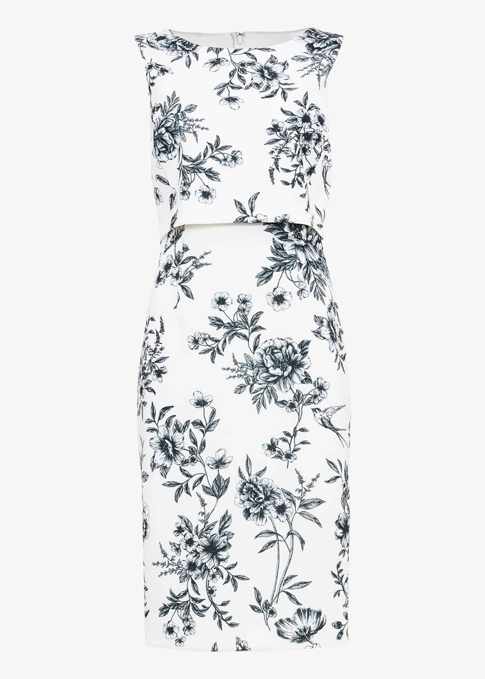 Romily Scuba Floral Dress | Phase Eight