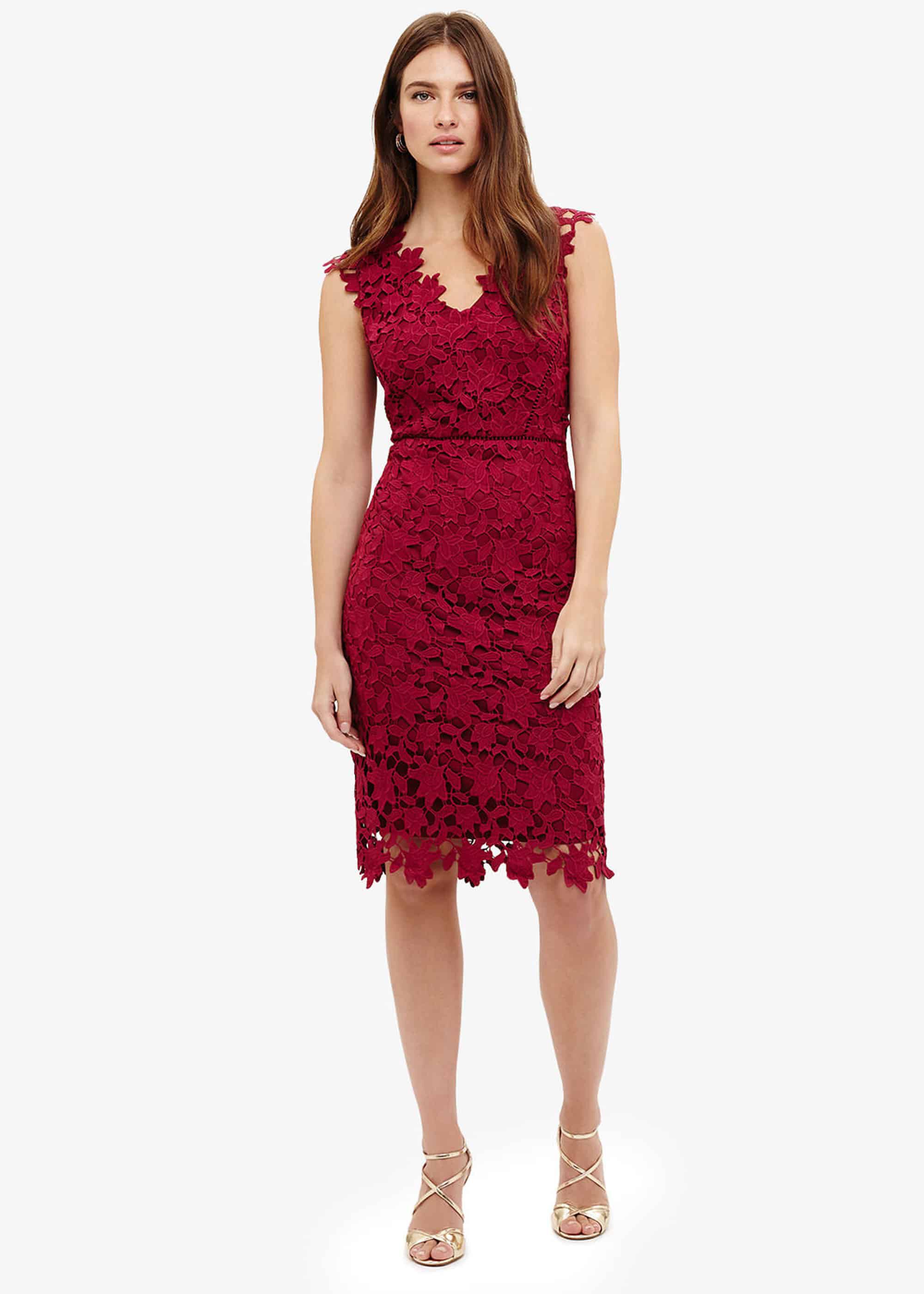phase eight petals lace dress