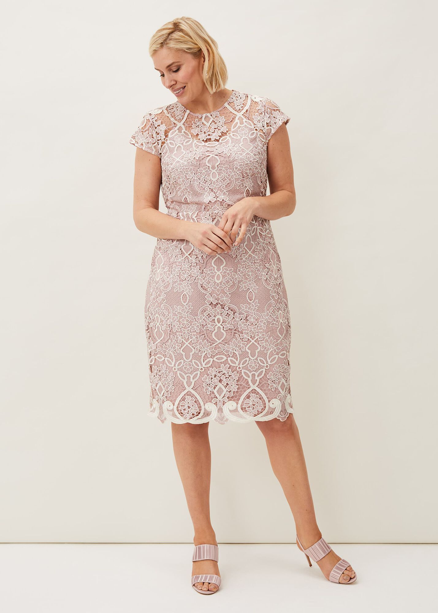 Frances Lace Fitted Dress | Phase Eight