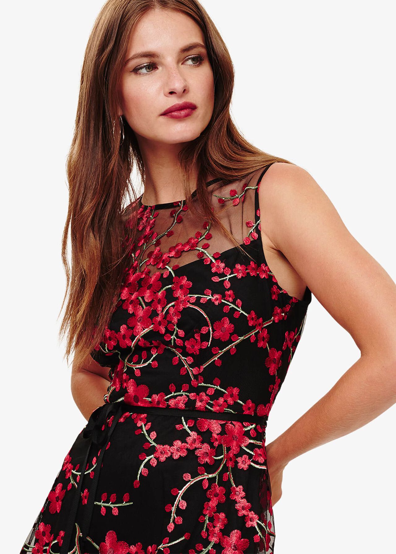 Sable Embroidered Dress