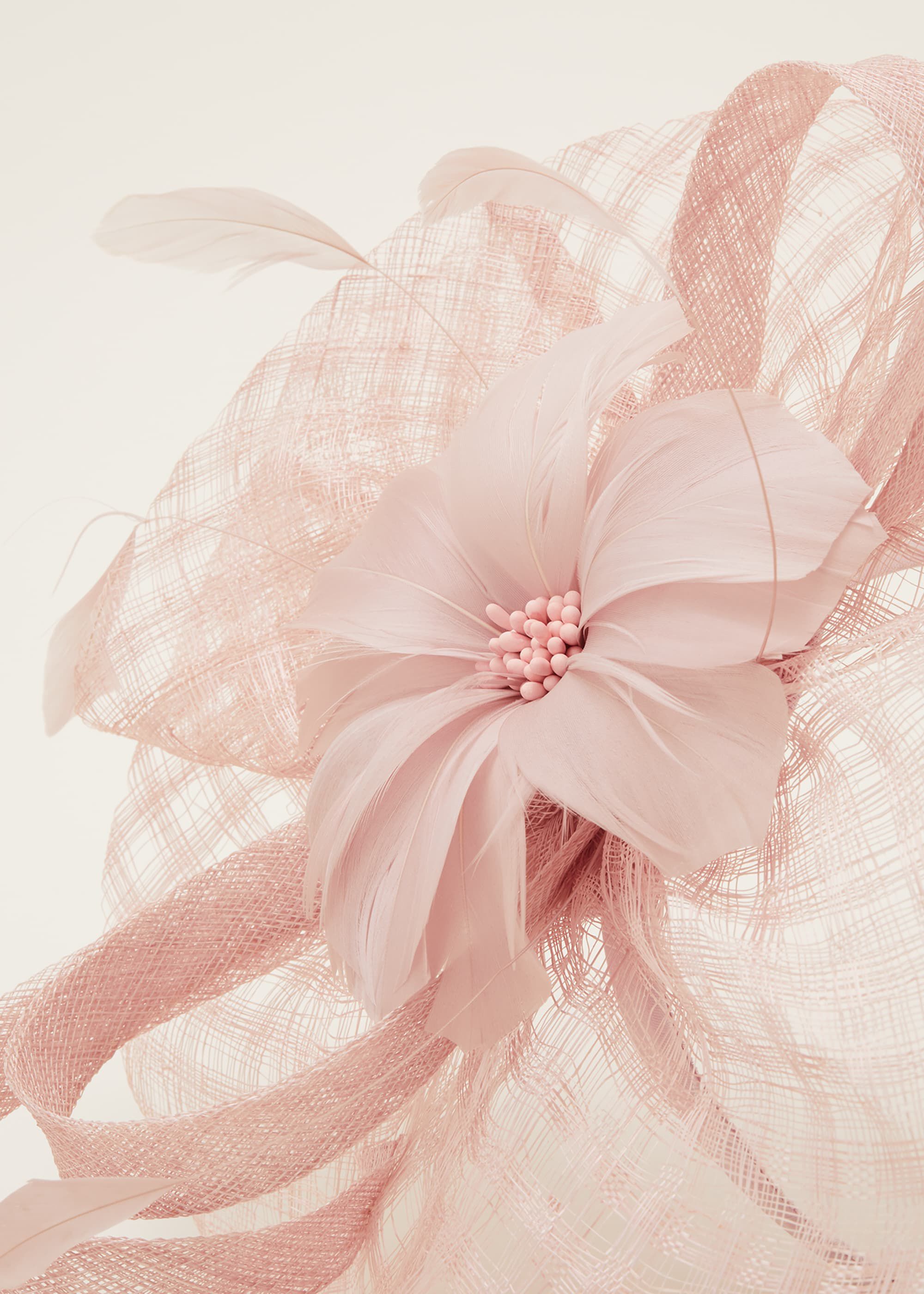 Danna Flower Fascinator | Phase Eight
