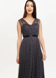 Ashleen Tulle Maxi Dress