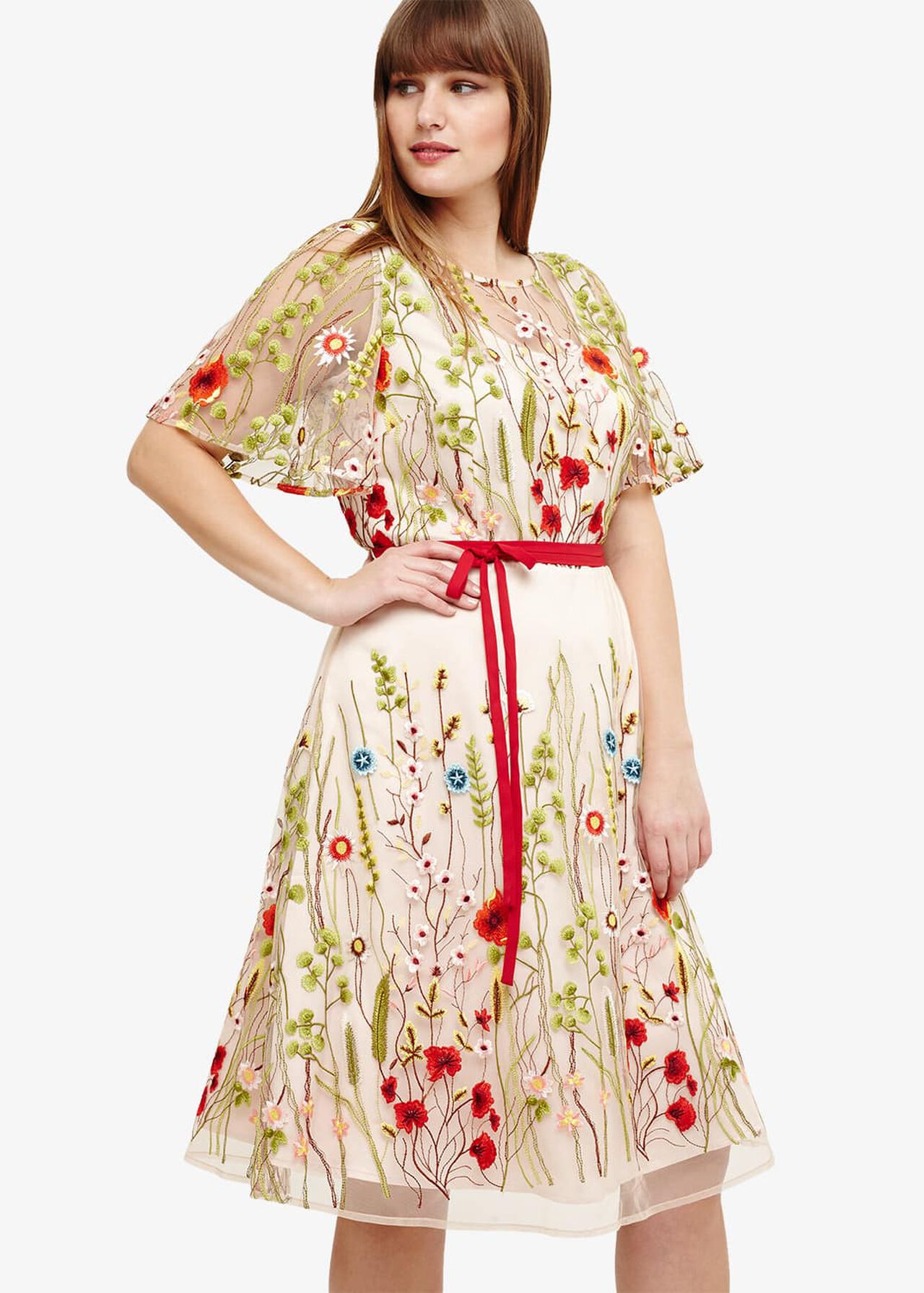 Richmond Embroidered Dress