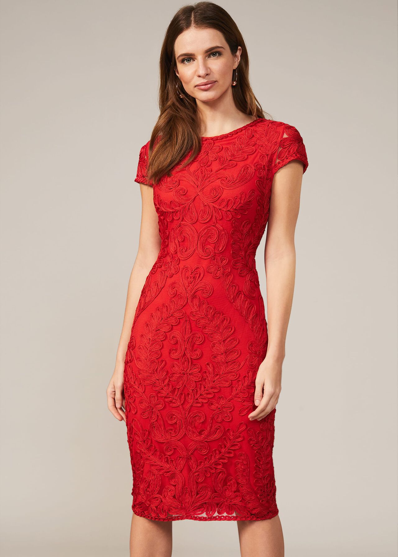 Cat Tapework Lace Fitted Dress