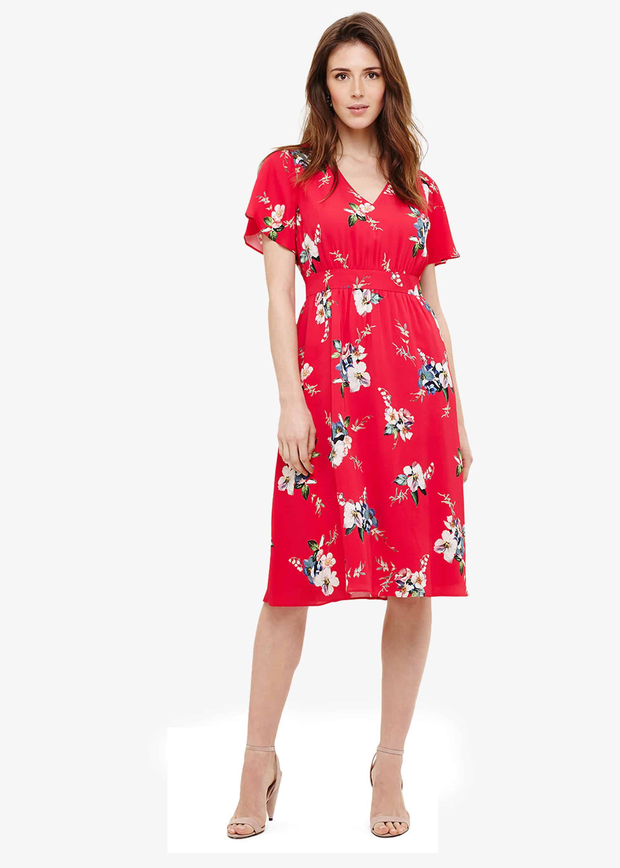 Phase eight alexandra dress store
