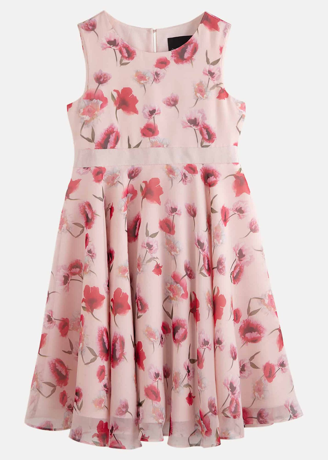 Mirabel Floral Fit And Flare Dress