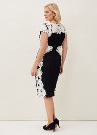 Nori Tapework Lace Fitted Dress