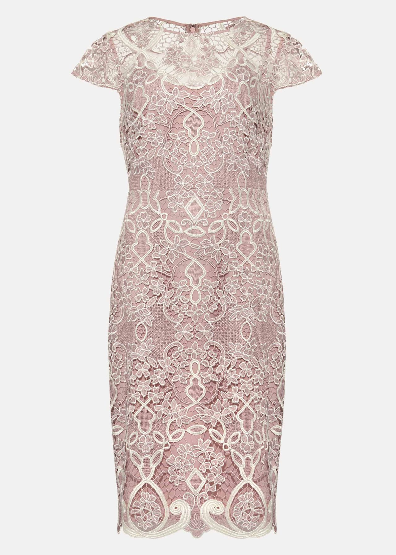 Frances Lace Fitted Dress