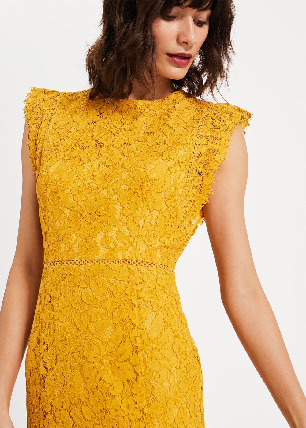 Primrose Lace Dress | Phase Eight UK |