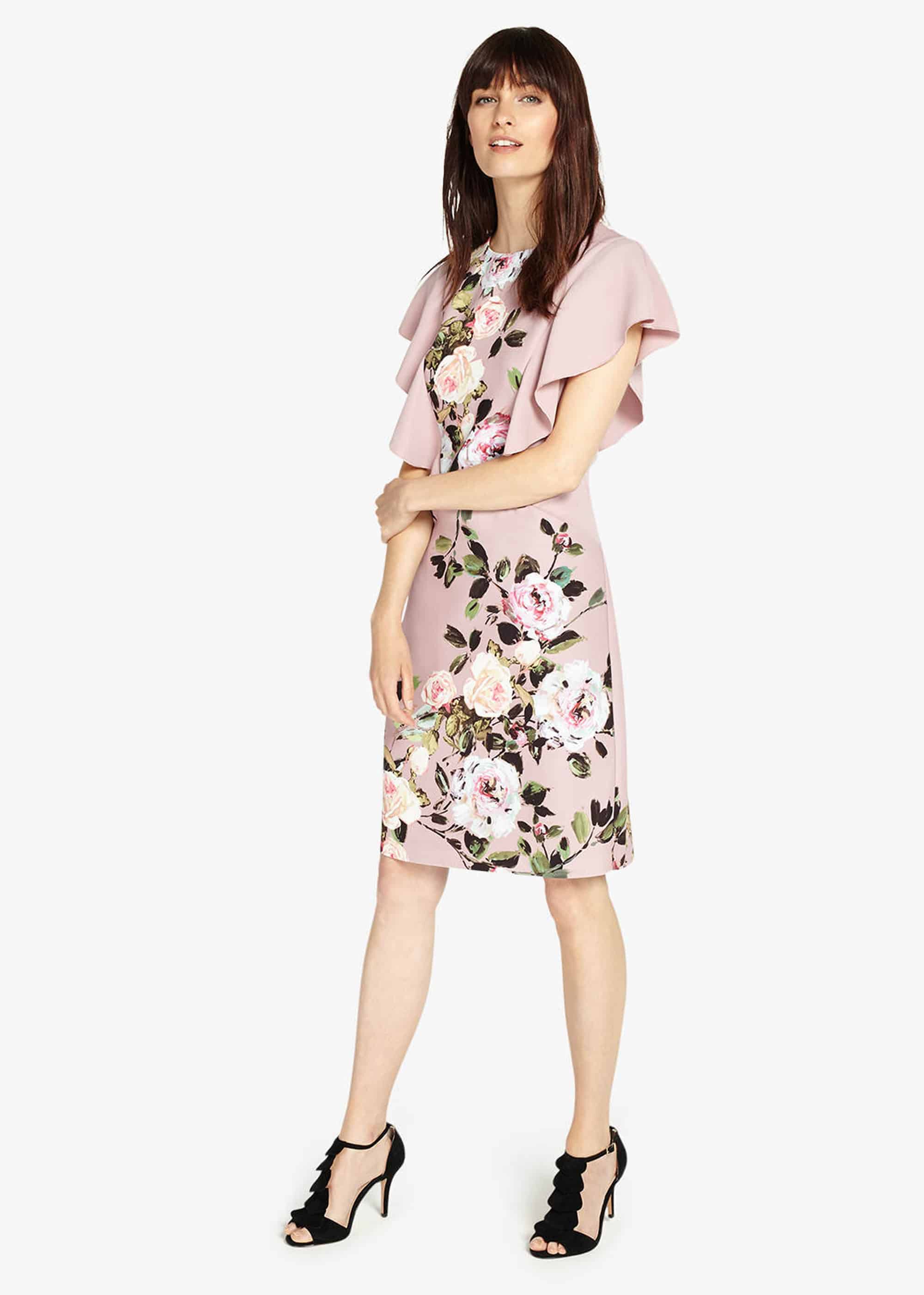 Phase eight livvy best sale dress