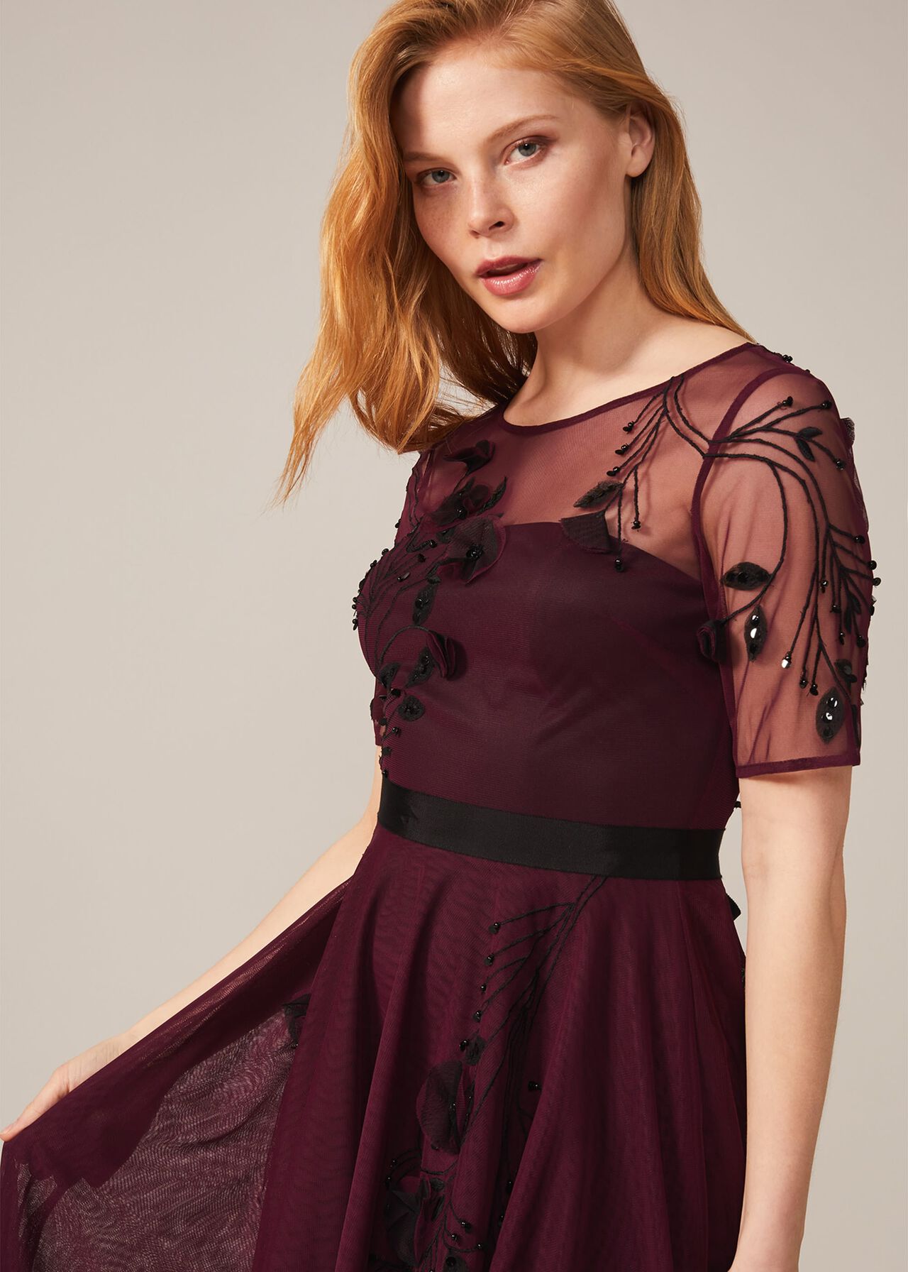Felicia Embroidered Tulle Dress