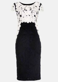 Catheleen Tapework Lace Dress