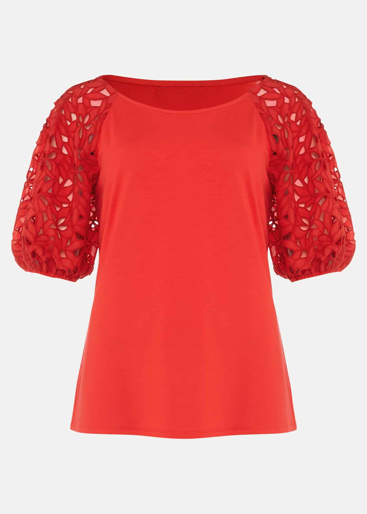 Elise Lace Sleeve Top