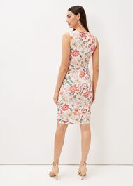 Larna Blush Jackie Dress