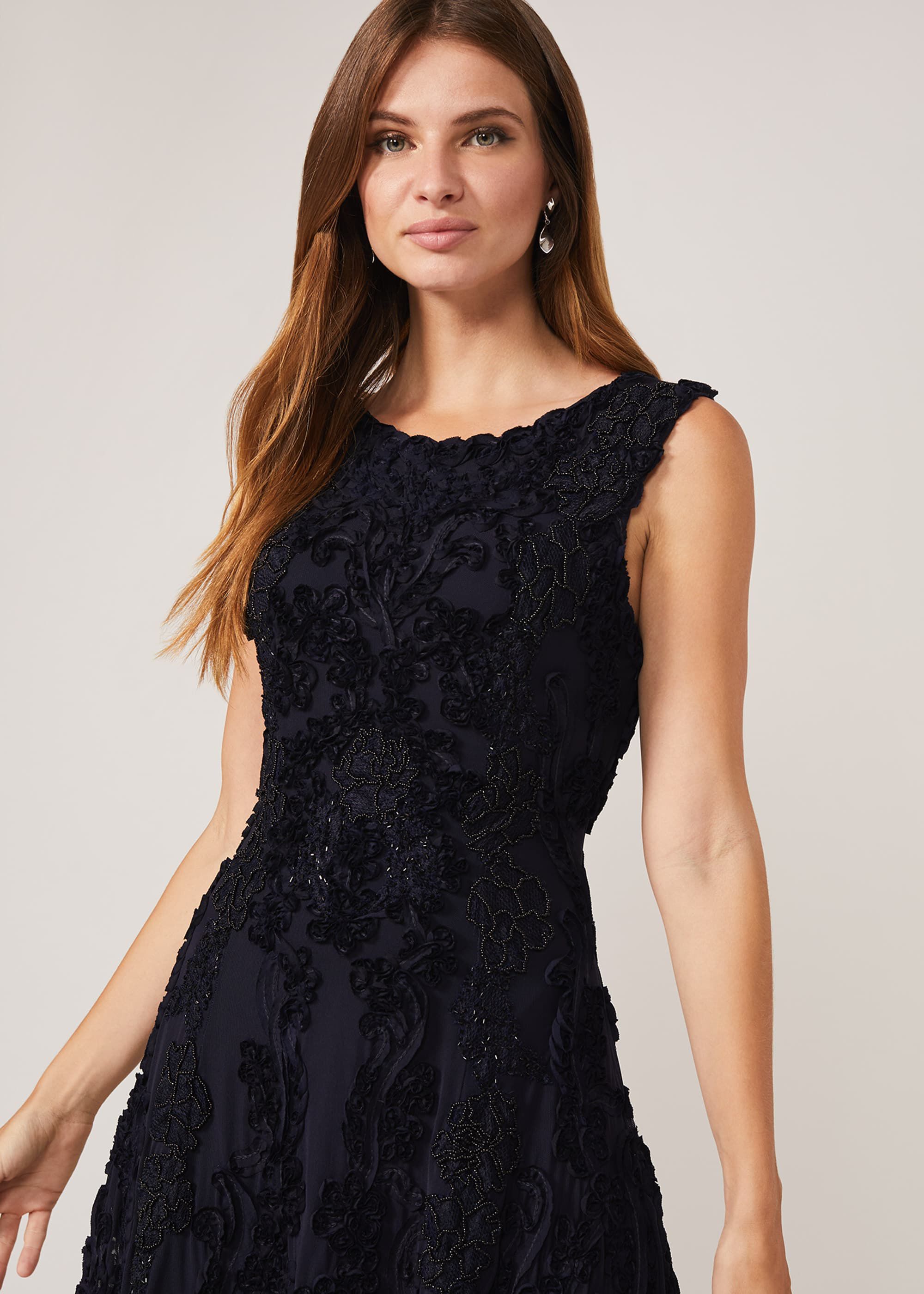Penelope Tapework Lace Fit And Flare Dress