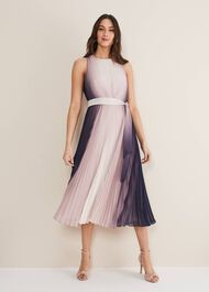 Simara Ombre Dress