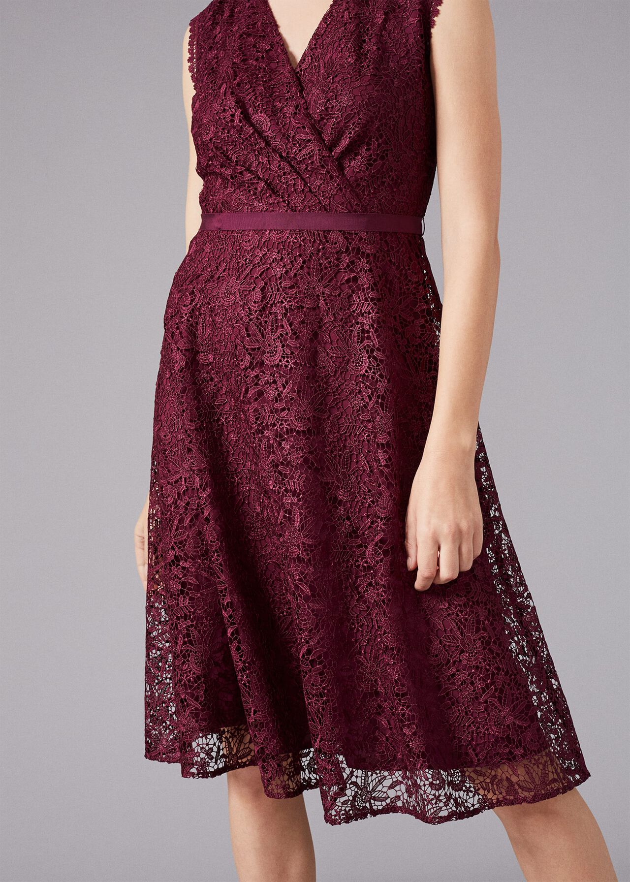 Ester Lace Fit And Flare Dress