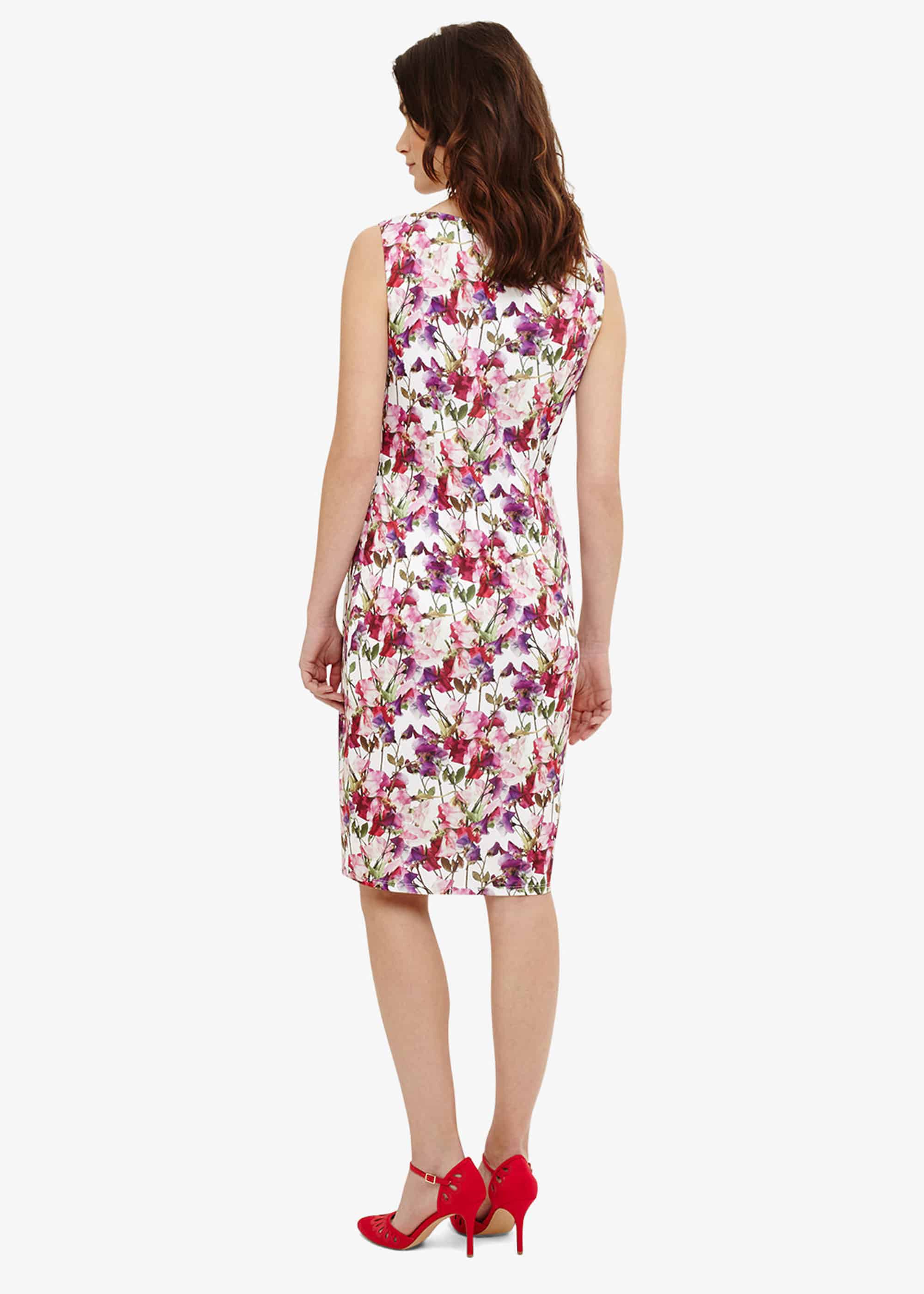 phase eight sweetpea dress